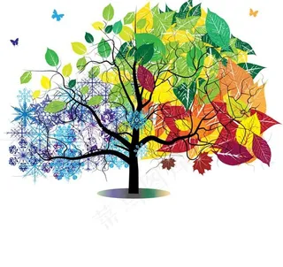 春夏秋冬四季 大树 树