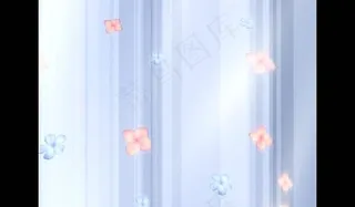 婚礼视频素材图片