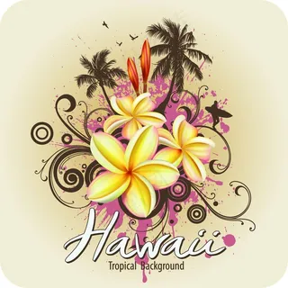 夏威夷风景矢量素材