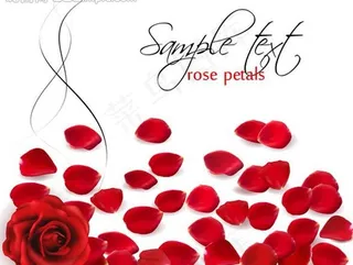 情人节背景图片