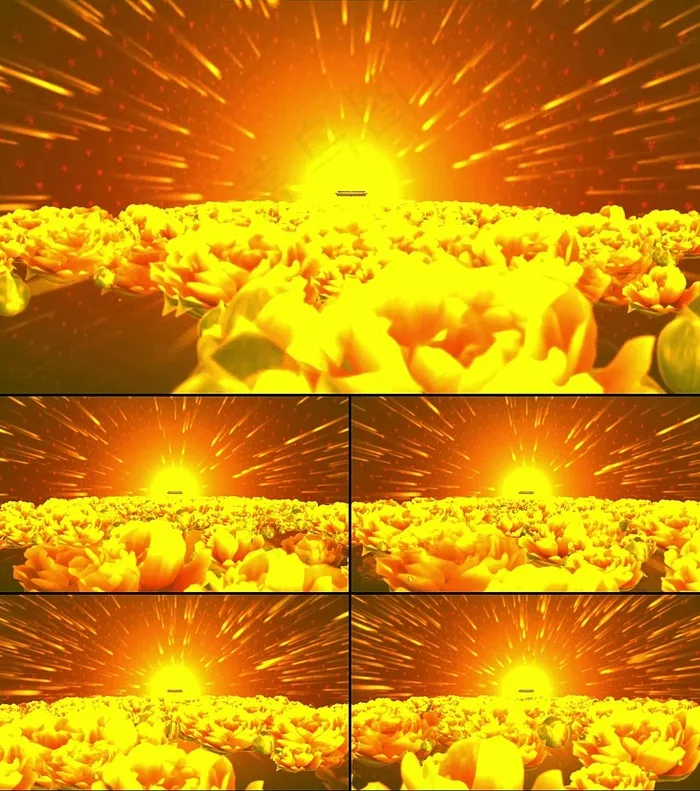 大气晚会开场花海视频