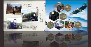 画册 人物画册图片