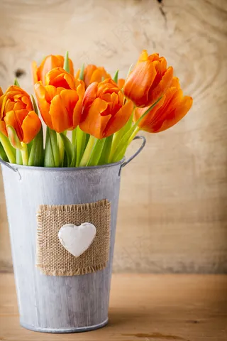 郁金香花束背景图