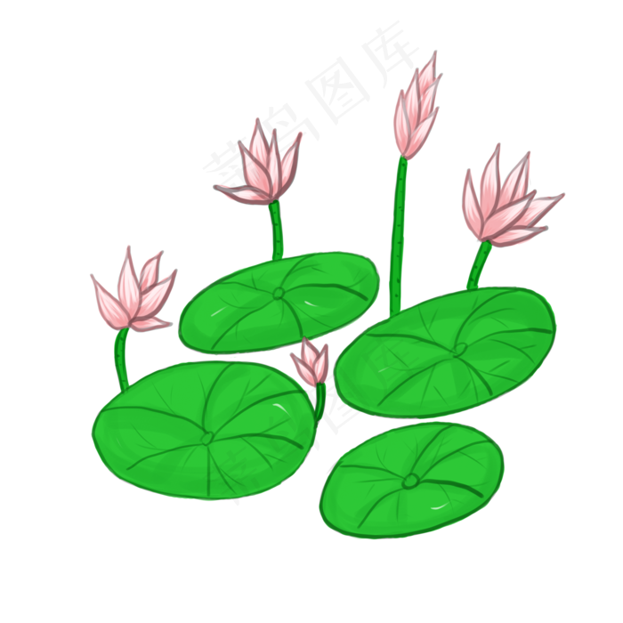 手绘荷花素材(1024X2510(DPI:300))psd模版下载