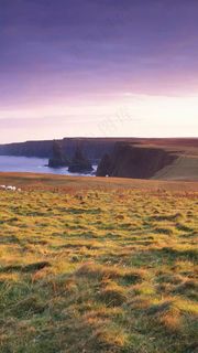 大海海岸的草原高清摄影图片