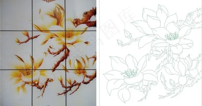 玉兰花 欧式图片cdr矢量模版下载