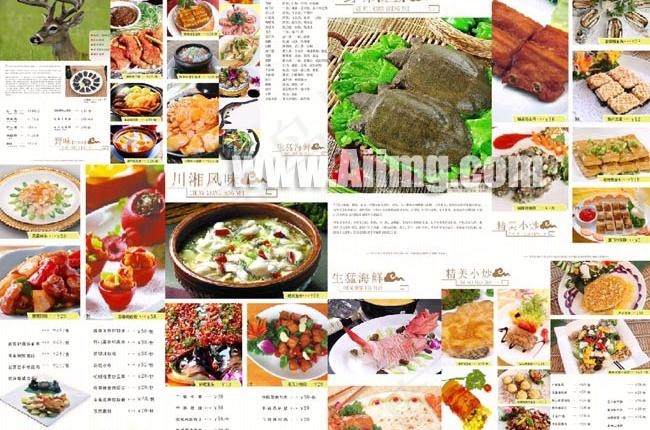 美食林菜谱矢量设计(3307X4724(DPI:300))psd模版下载