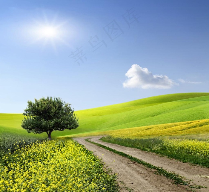 春天郊外风景图片