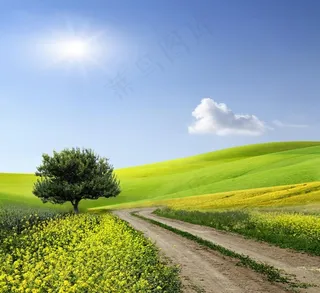 春天郊外风景图片