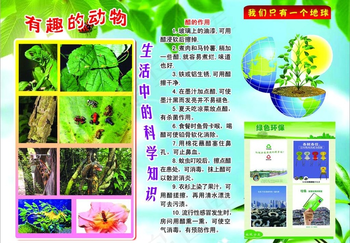 实验知识展板图片psd模版下载