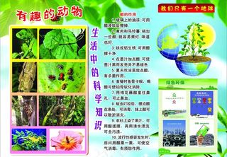 实验知识展板图片