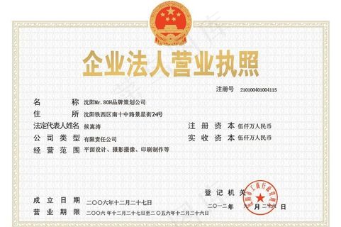 企业法人营业执照模版图片