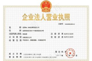 企业法人营业执照模版图片