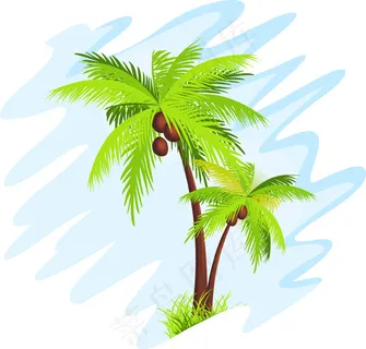 盛夏椰树 盛夏椰树