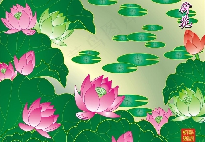 荷花塘图片