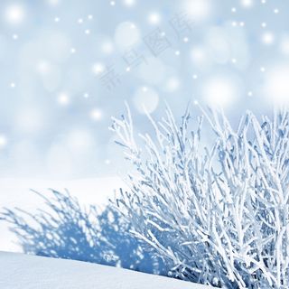 美丽冬天雪地背景图片