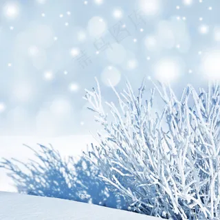 美丽冬天雪地背景图片 美丽冬天雪地背景图片