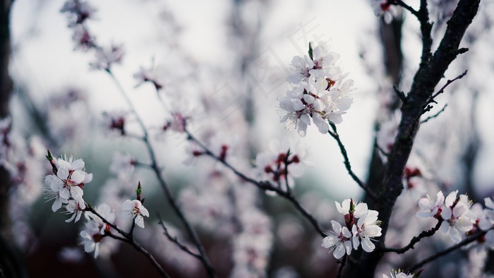 2018年免费3D相册AEcs6模...