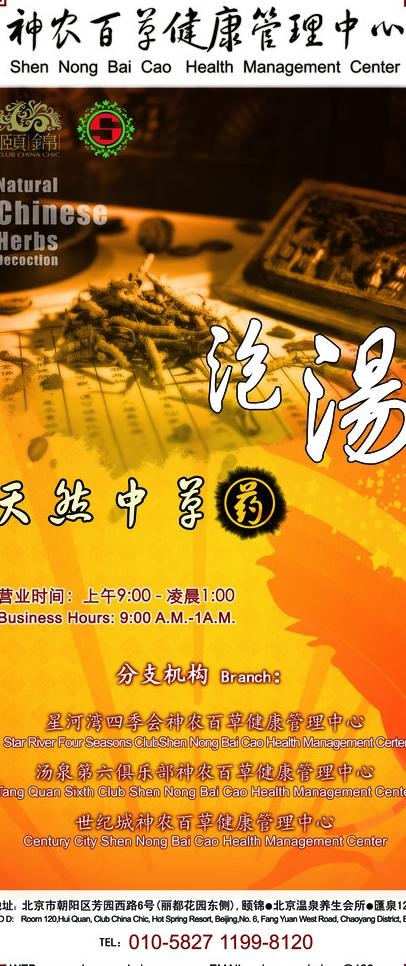 神农百草中医保健dm单页正面图片psd模版下载