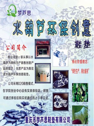 水葫芦环保创意鞋垫展板第二张