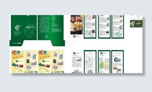 橄榄树折页图片