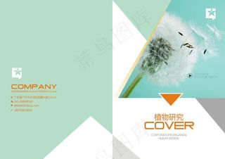 简约植物研究宣传画册封面