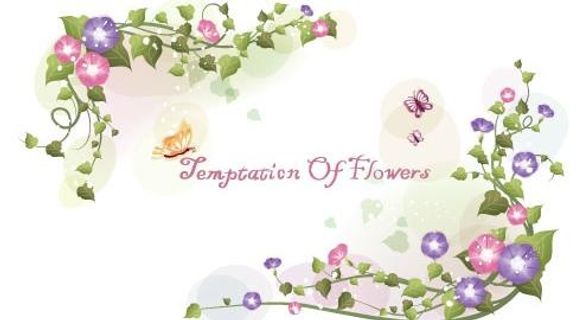 韩国植物装饰边框矢量图25