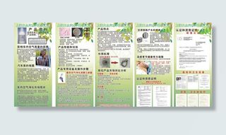 上海大众汽车汽车消毒液图片