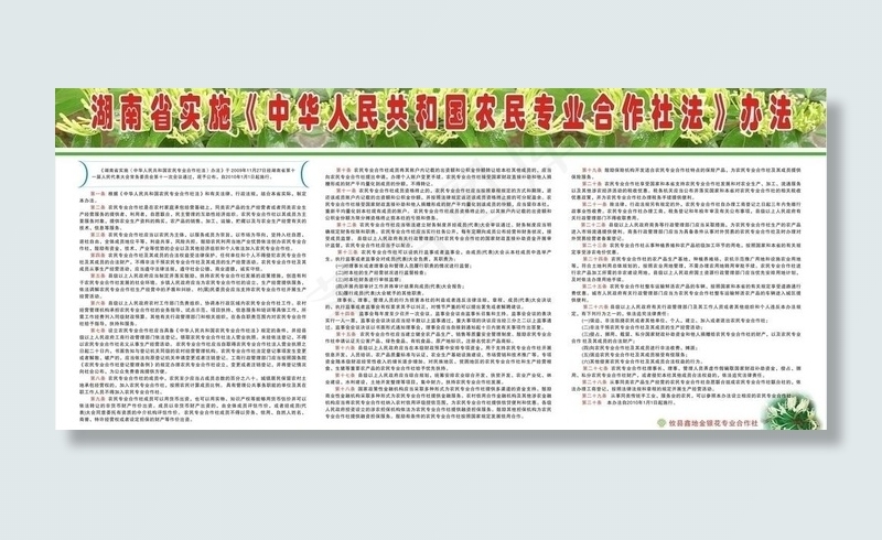 农民专业合作社法图片cdr矢量模版下载