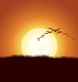 随着夏天的鸟群背景矢量