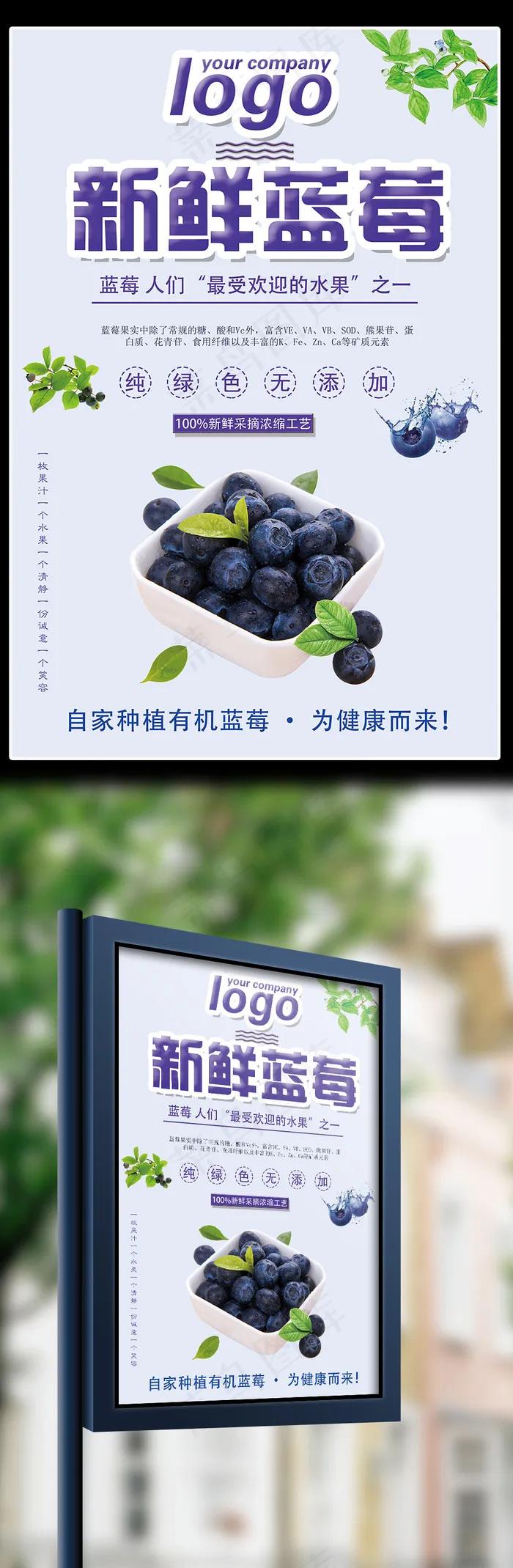 新鲜蓝莓促销宣传海报(3543X5315(DPI:150))psd模版下载