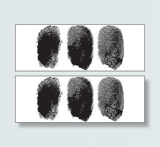 手指指纹矢量素材