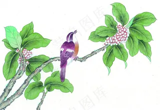 花鸟图