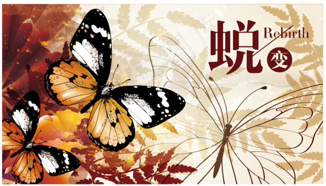 蜕变 蝴蝶