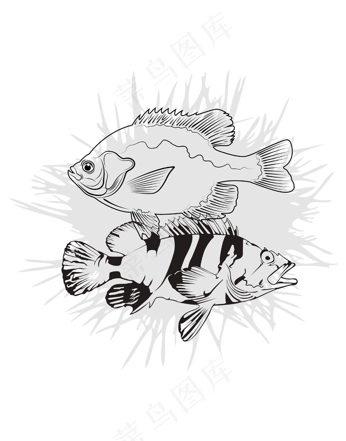 手绘鱼装饰插画ai矢量模版下载
