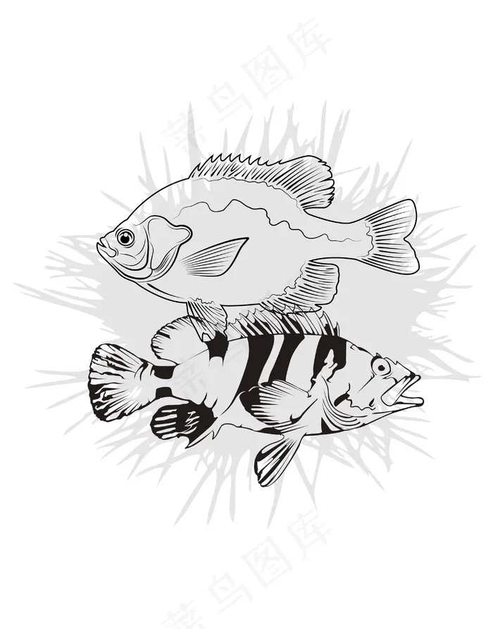 手绘鱼装饰插画ai矢量模版下载