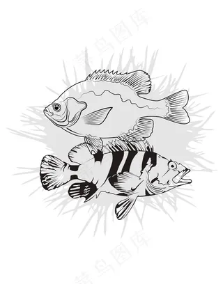 手绘鱼装饰插画