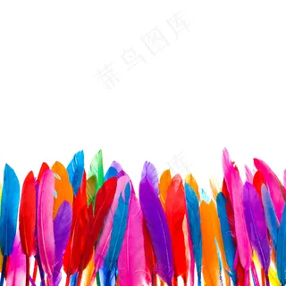 彩色羽毛背景