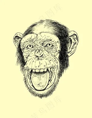 猩猩黑白插画头像