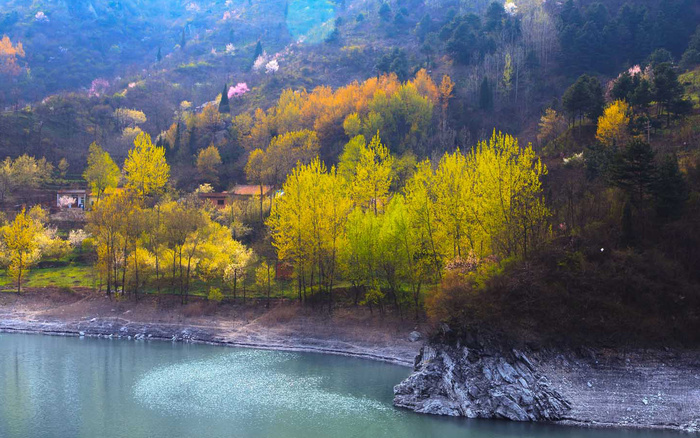 秦岭春天风景