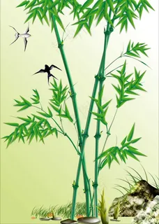 翠竹 翠竹