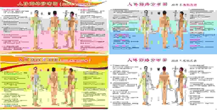 人体经络图 人体穴位图 医院展板