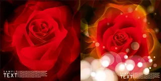 梦幻红玫瑰矢量素材