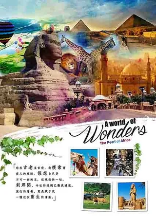 非洲旅游封面设计