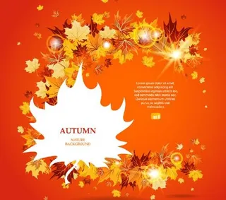 枫叶创意设计矢量素材二