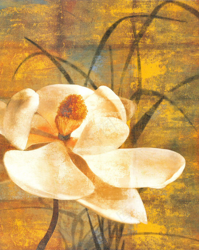 白色花朵无框画