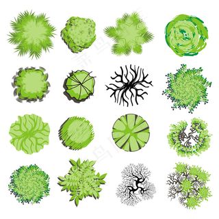 森林绿色绿色食品无污染新鲜绿色植物