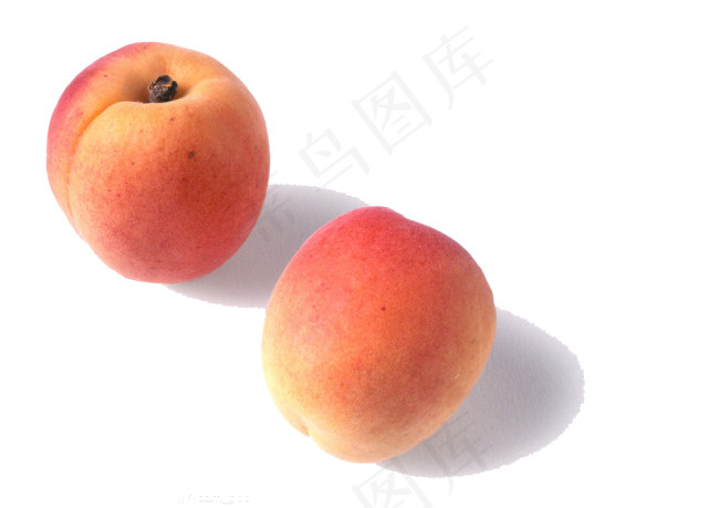 桃子素材