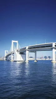 踦河大桥高清摄影图片