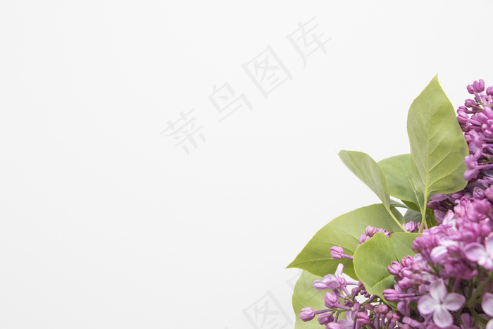简约小清新文艺风插花静物摆拍背景